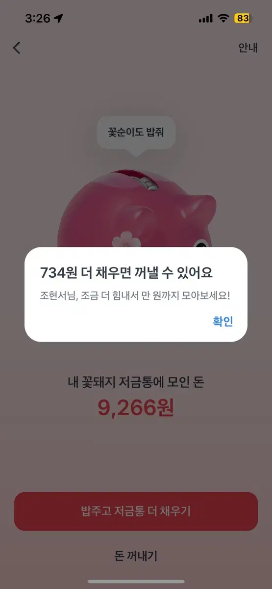 토스 이벤트 꽃돼지 돈